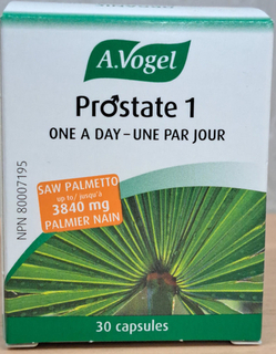 Prostate 1 (A. Vogel)